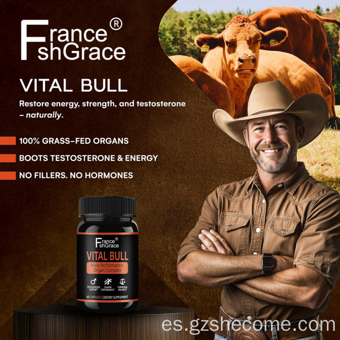 Suplemento personalizado de órganos de res Vital Bull para hombres